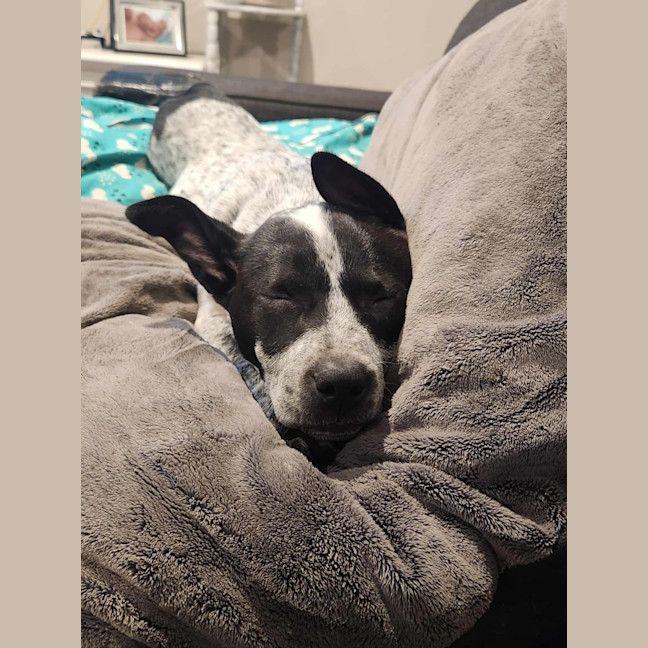 Photo of Zyko