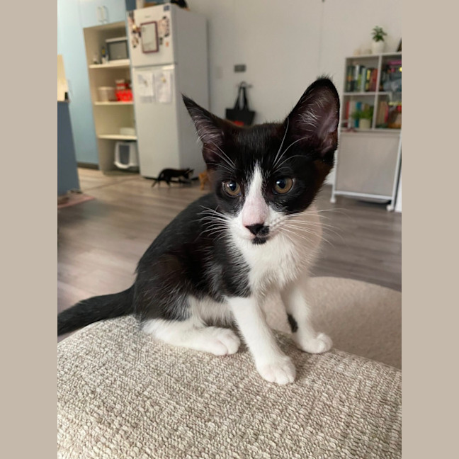 Photo of Lucy
