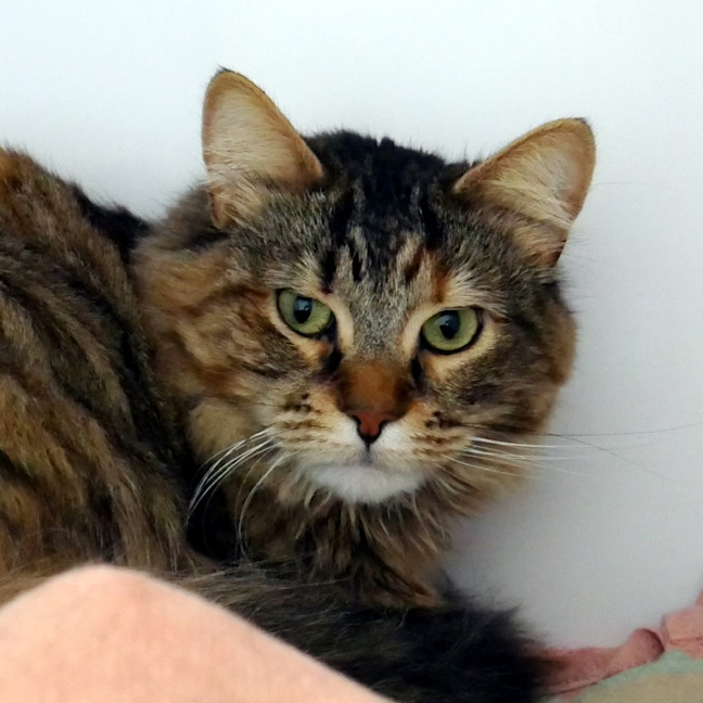 Photo of August Rsua010511