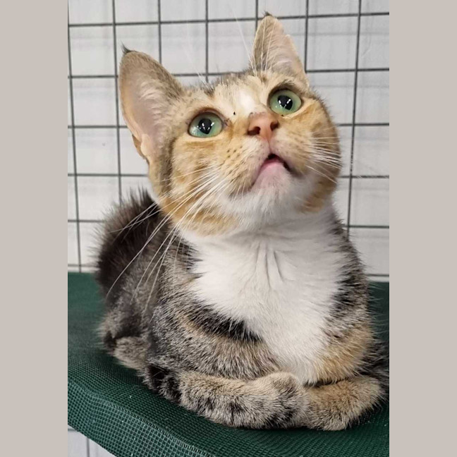 Photo of Bonnie