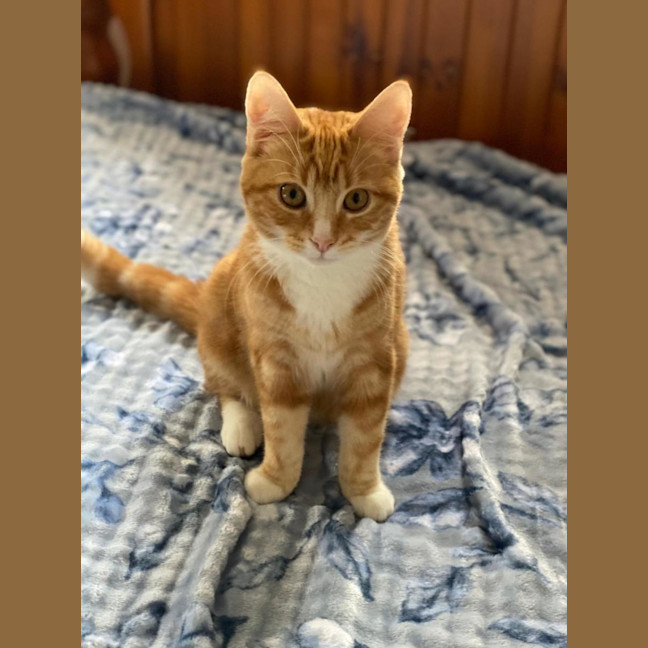 Photo of Rory