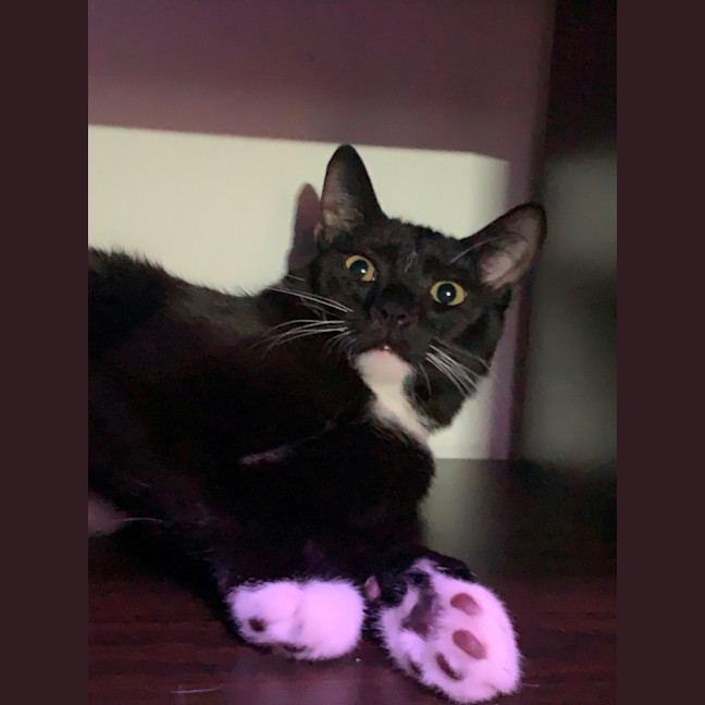 Photo of Quincy