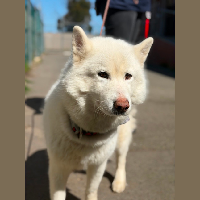 Photo of Narla