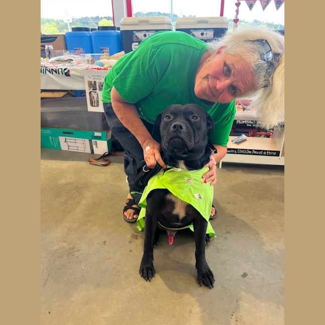 Photo of Huckleberry 