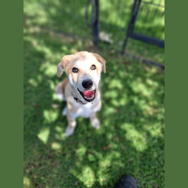 Photo of Zuko