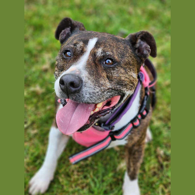 Photo of 🌷 Bonnie 5211 🌷