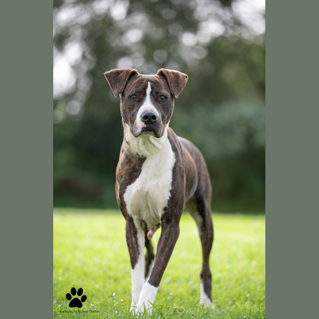 Photo of Sally