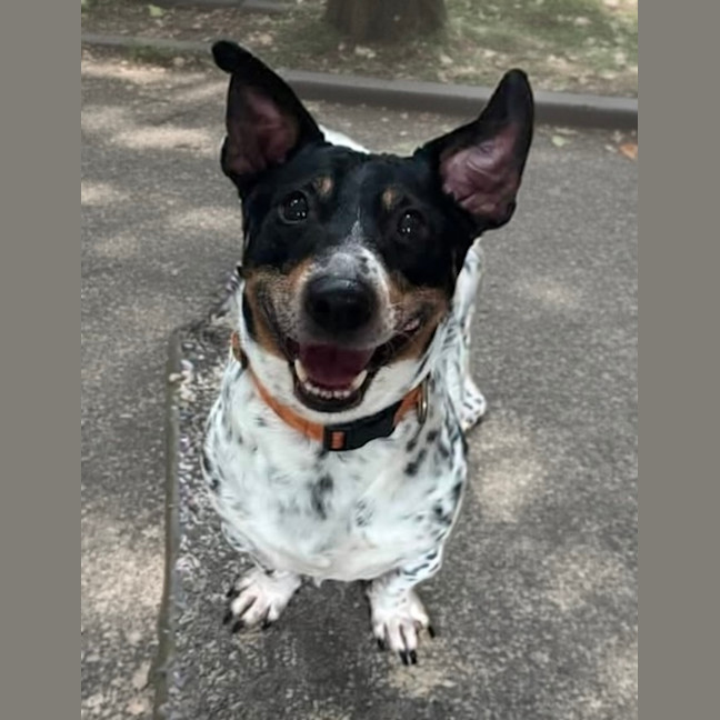 Photo of Maxi 