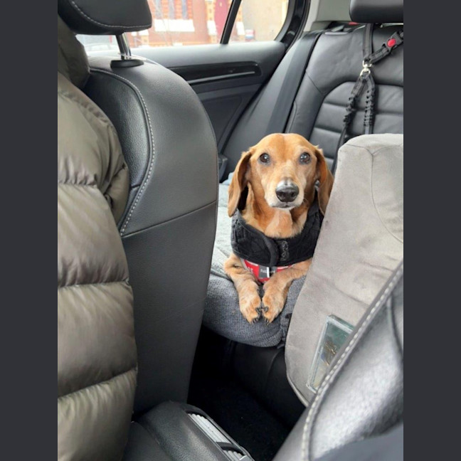 Photo of Hans Russelton