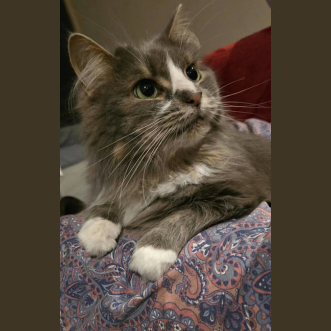 Photo of Angel