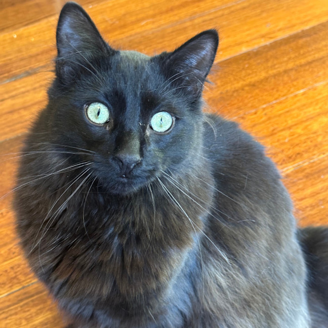 Photo of Max