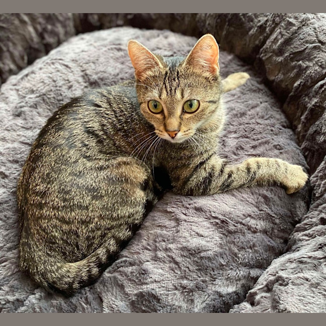 Photo of Sunny 