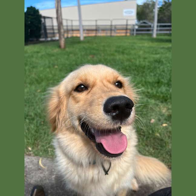 Photo of Maggie