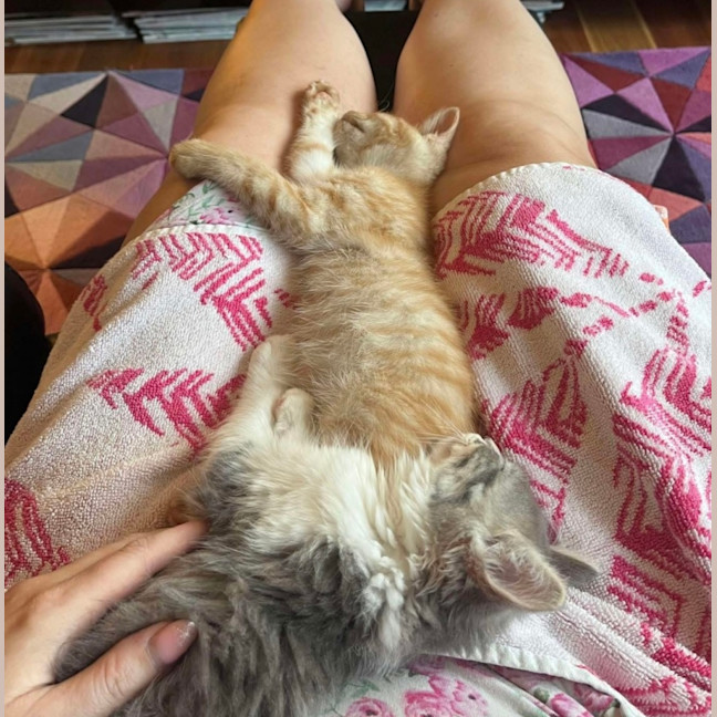 Photo of Cherub & Rudolf 