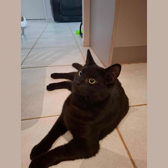 Photo of Terrence