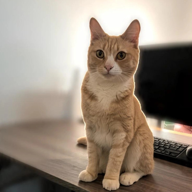 Photo of Millie