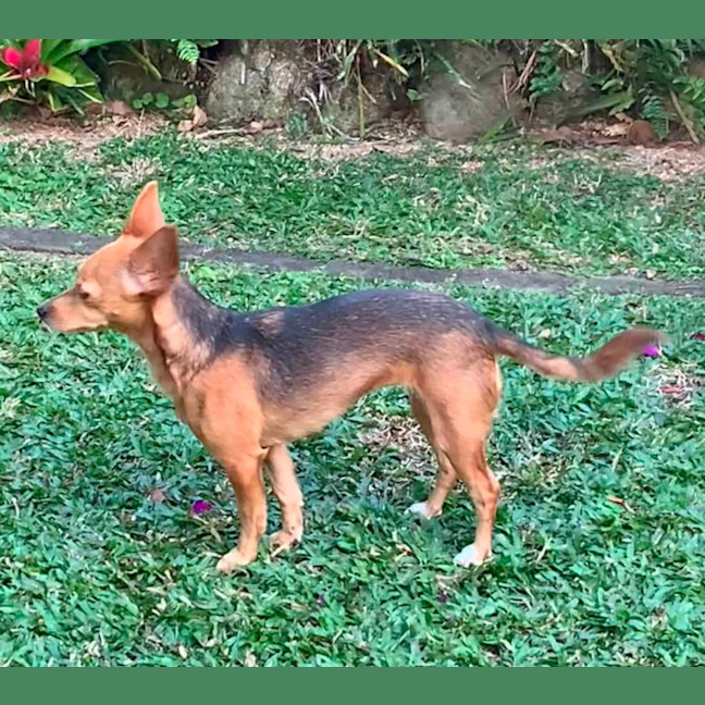 Photo of Tiny