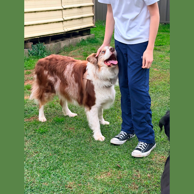 Photo of Chip