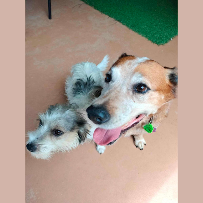 Photo of Missy Muddle