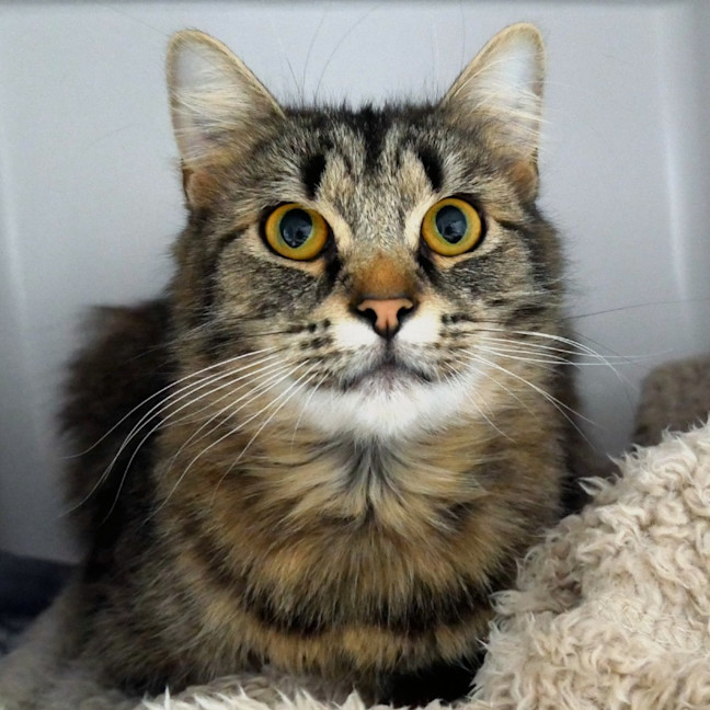 Photo of Tiggy Sua015607