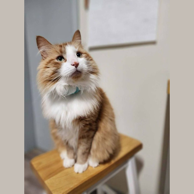 Photo of Baxter