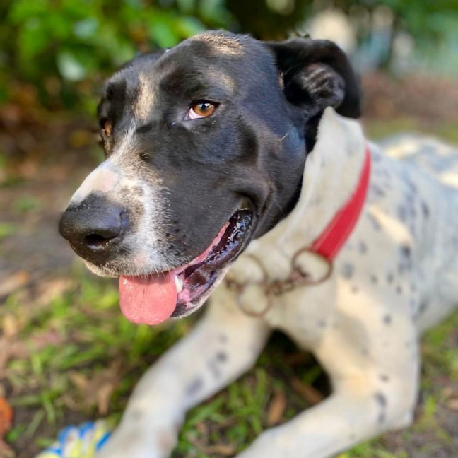 Photo of Lola