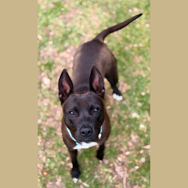 Photo of Tilly 