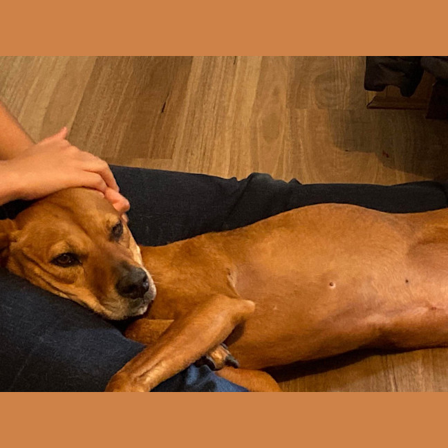 Photo of Zoe