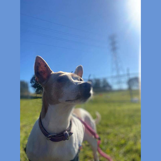 Photo of Jessie