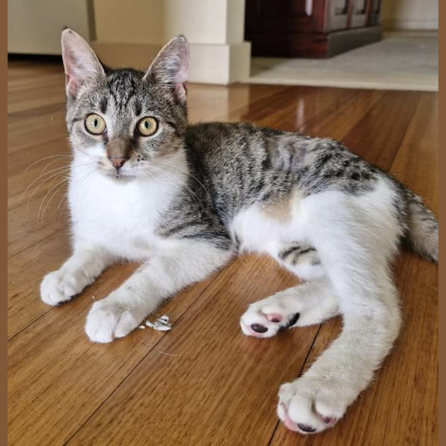 Photo of Lilly