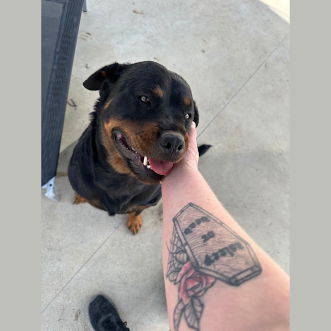 Photo of Moo Moo Bear