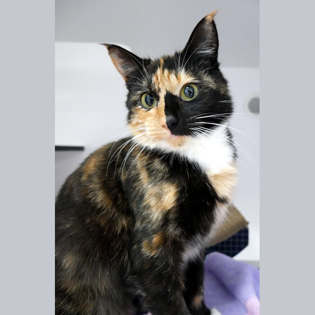 Photo of Princess Sta014141