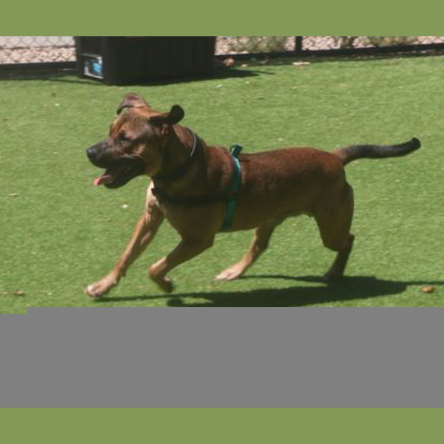 Photo of Drax