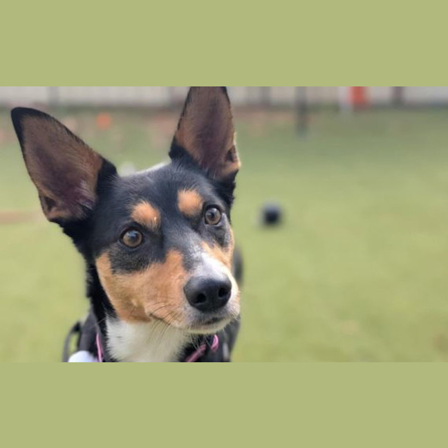Photo of Lizzie