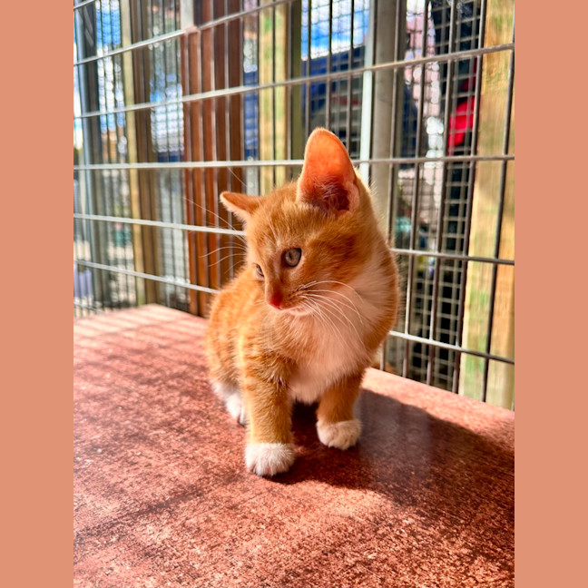 Photo of Rupert! 🫚 