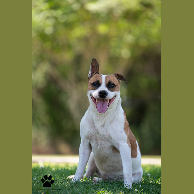 Photo of Monty