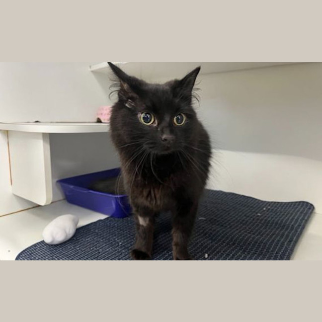 Photo of Miss Baby K