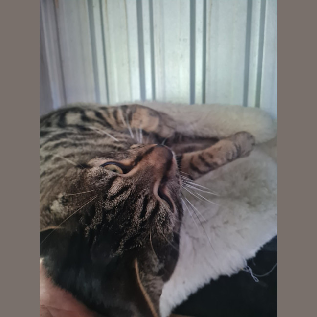 Photo of Edwin James Aka Teddy