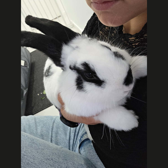 Photo of Andy & Astro