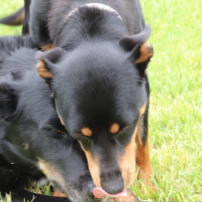 Photo of Maggie