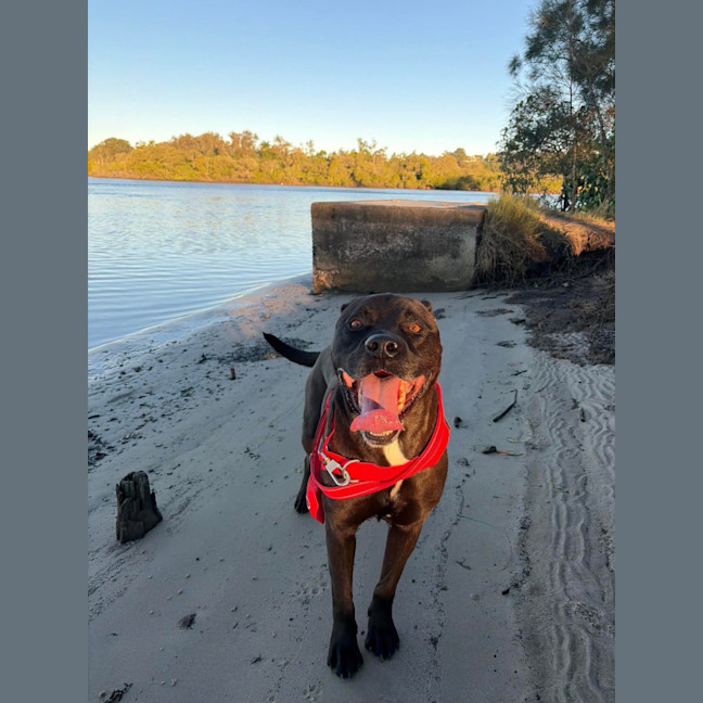 Photo of Axel