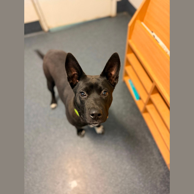 Photo of Flip