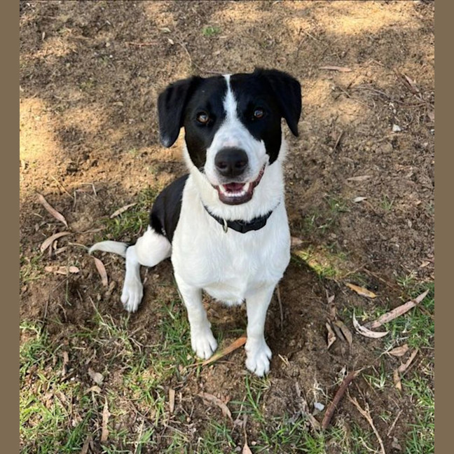 Photo of Bull And Frederick