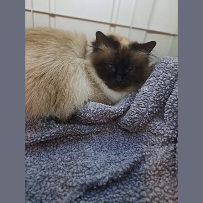 Photo of Dolly Parton