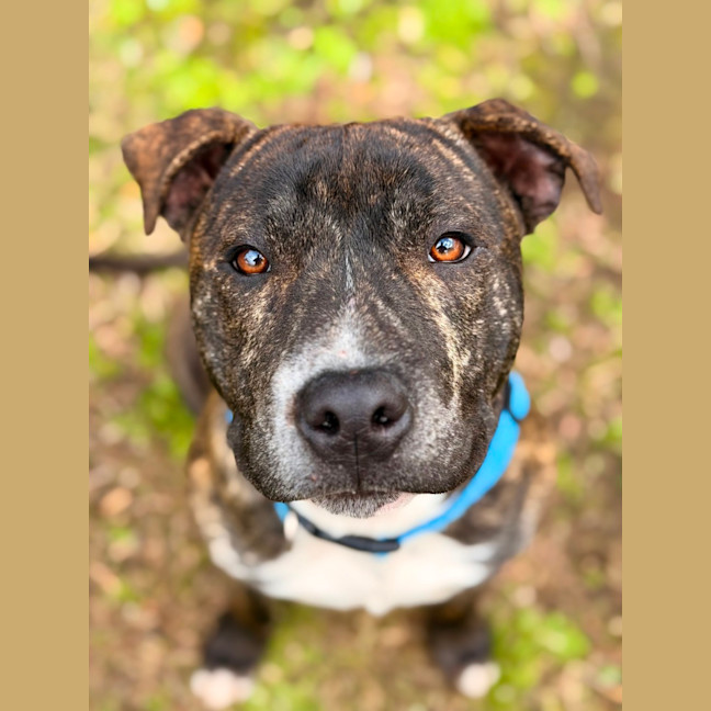 Photo of Tucker