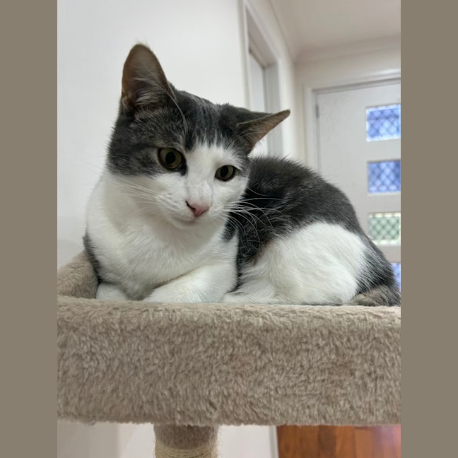 Photo of Maverick