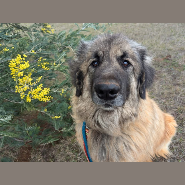 Photo of Hercules