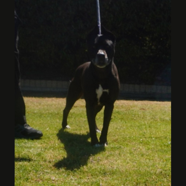 Photo of Turbo