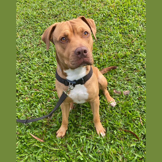 Photo of Ace