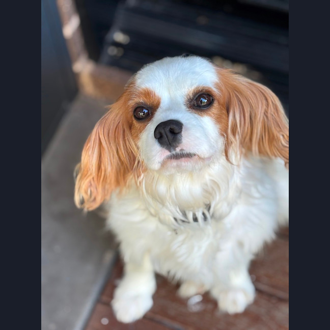 Photo of Isabelle